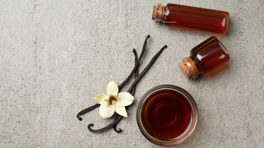 Introducing Our New Product Catalog: Tailored Vanilla Solutions for the Food and Beverage Industry!